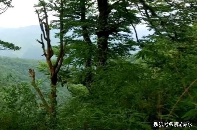 兔子武士大冒险