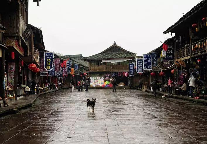 拯救红松鼠
